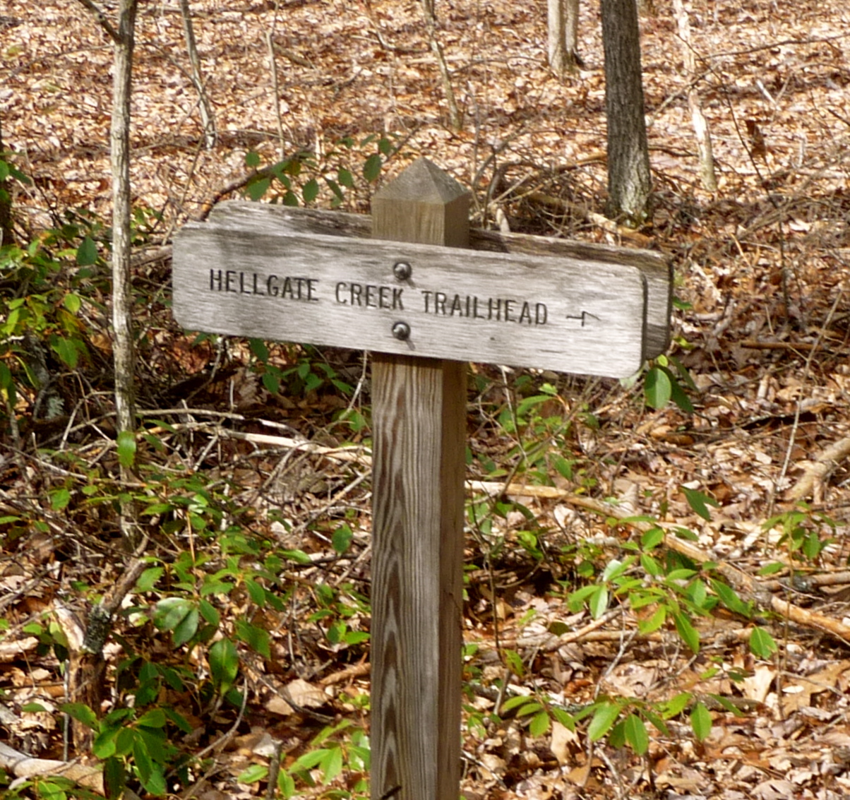 Trail workers